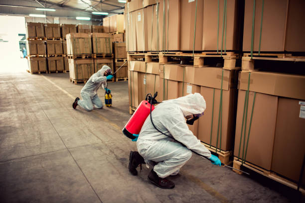 Best Residential Pest Control  in Shokan, NY