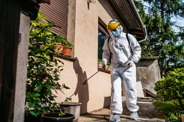 Best Flea Control Services  in Shokan, NY