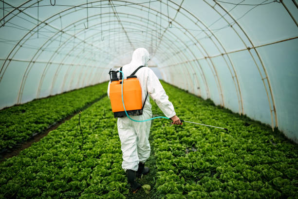 Best Local Pest Control Services  in Shokan, NY