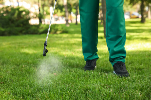 Best Mosquito Control Services  in Shokan, NY