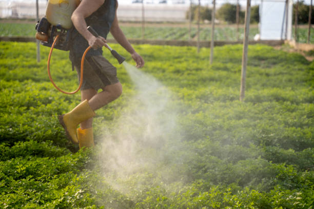 Reliable Shokan, NY Pest Control Solutions