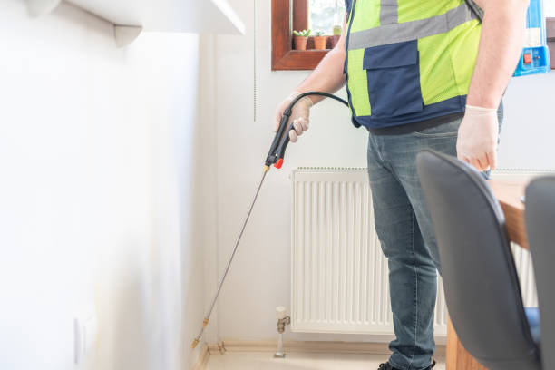 Best Wasp Removal Services  in Shokan, NY