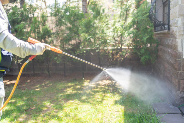 Best Best Pest Control Companies  in Shokan, NY
