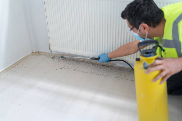 Best Pest Prevention Services  in Shokan, NY